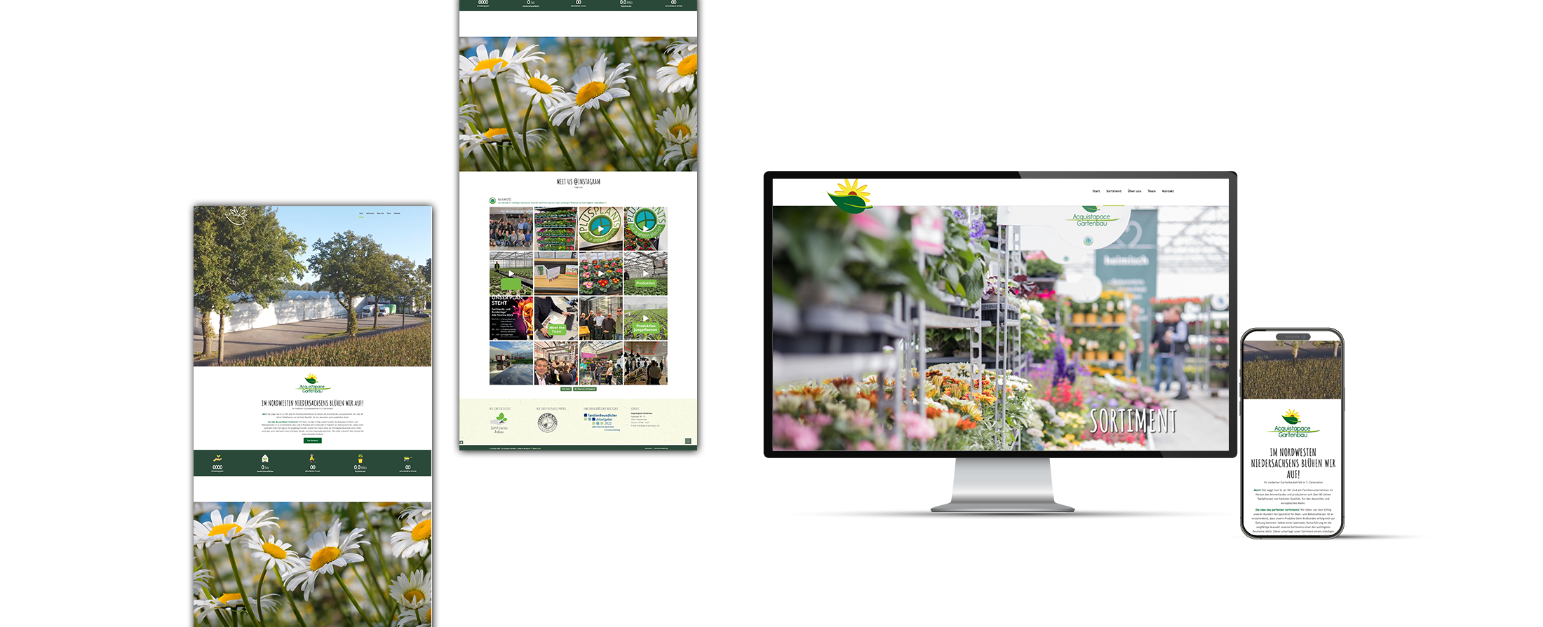 2025-Mockup-Webseite-Acquistapace