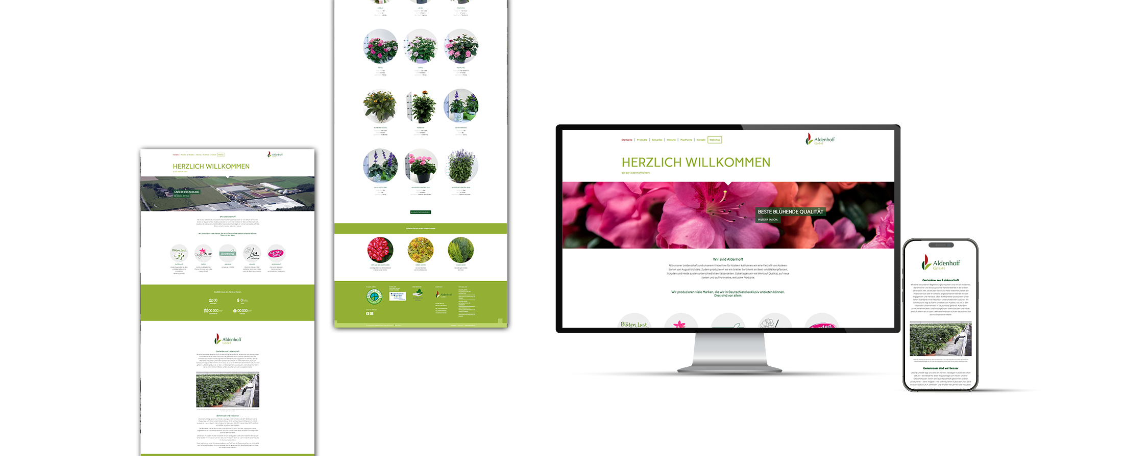 2025-Mockup-Webseite-Aldenhoff