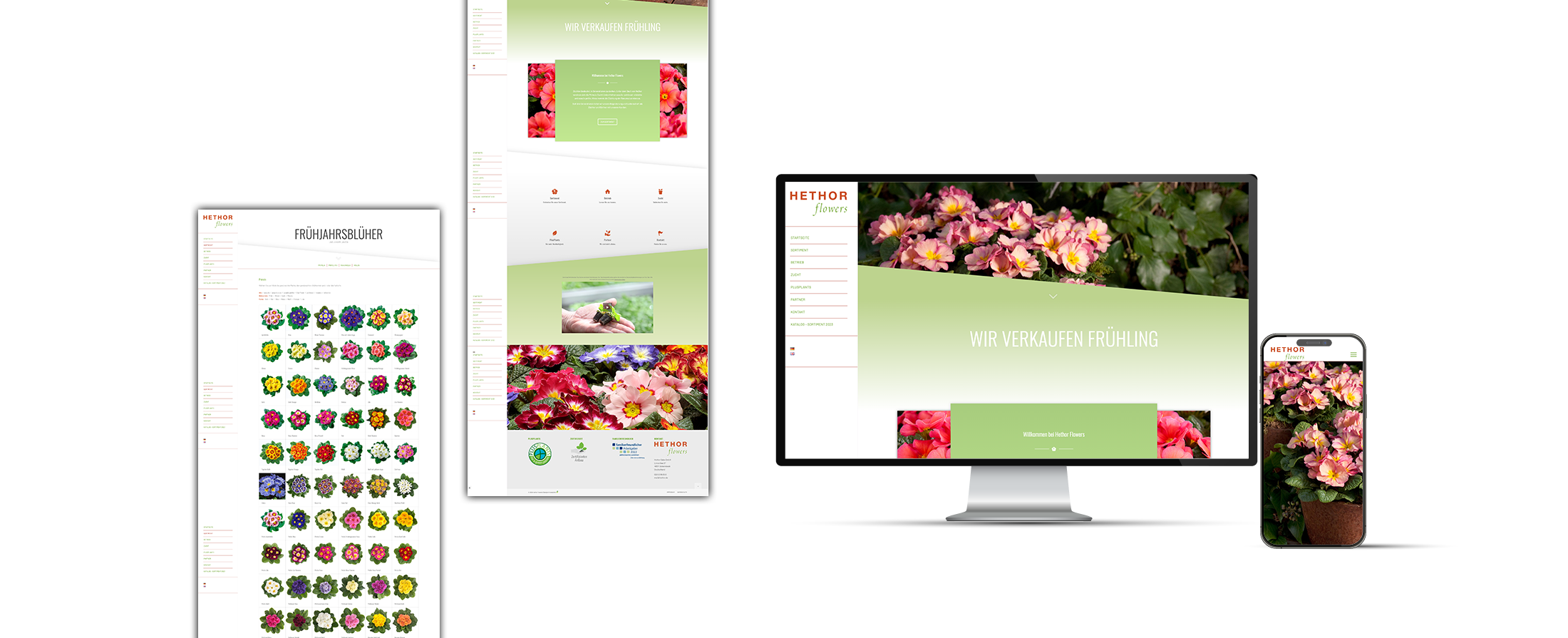 2025-Mockup-Webseite-Hethor