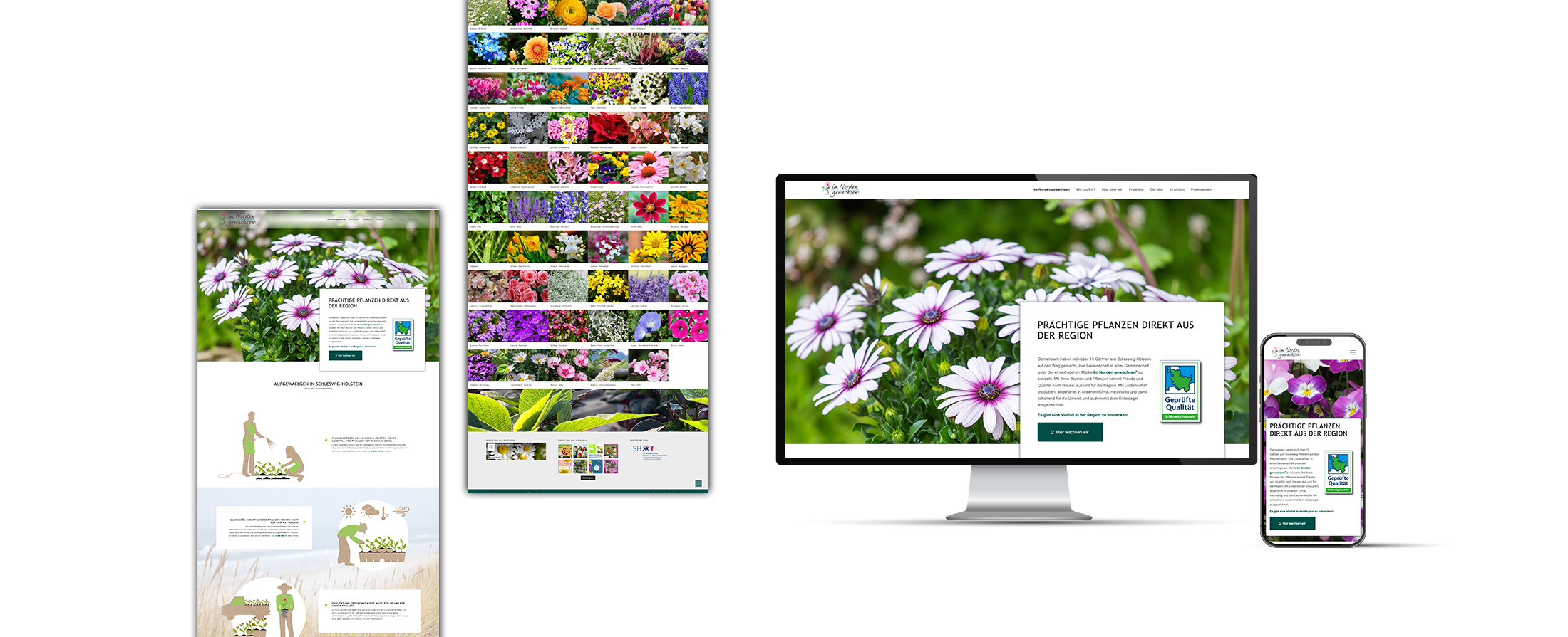 2025-Mockup-Webseite-ING
