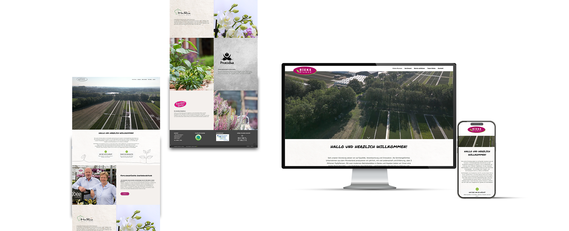 2025-Mockup-Webseite-Rieke