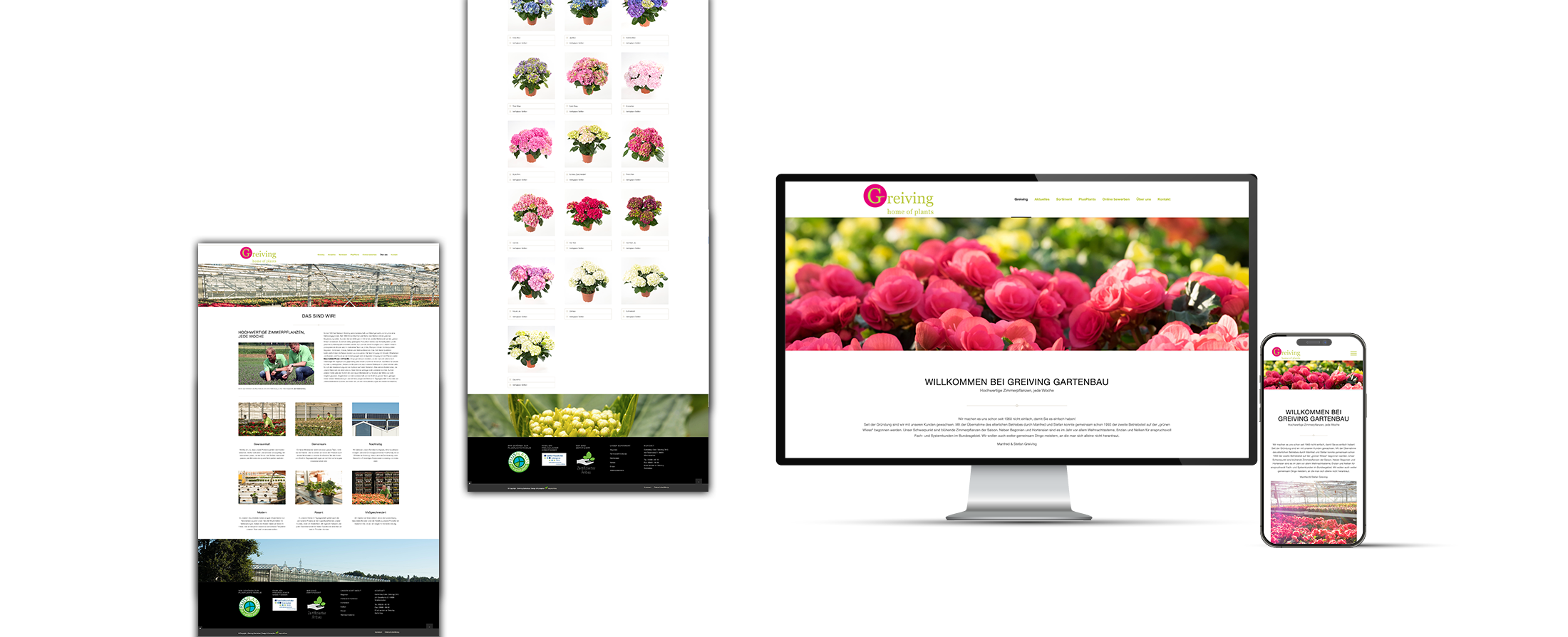 2025-Mockup-Webseite_Greiving