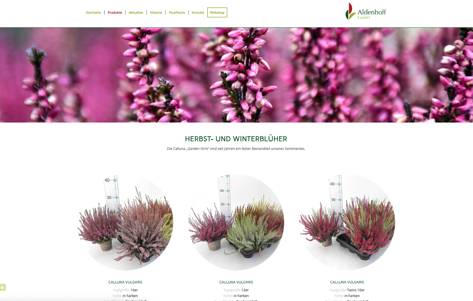 Aldenhoff-Gartenbau