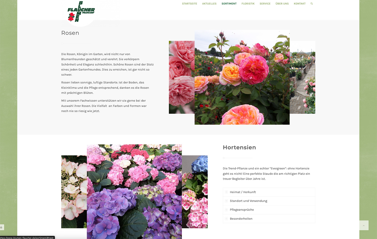 Flaucher-Feldkamp