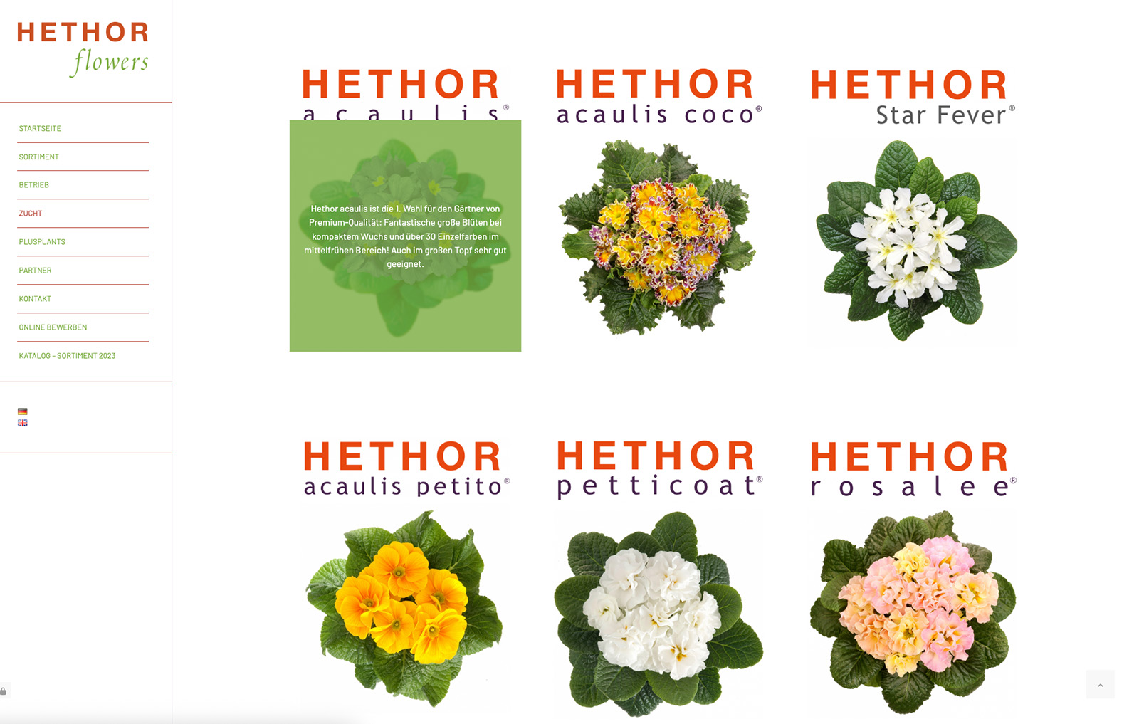 Hethor-Flowers