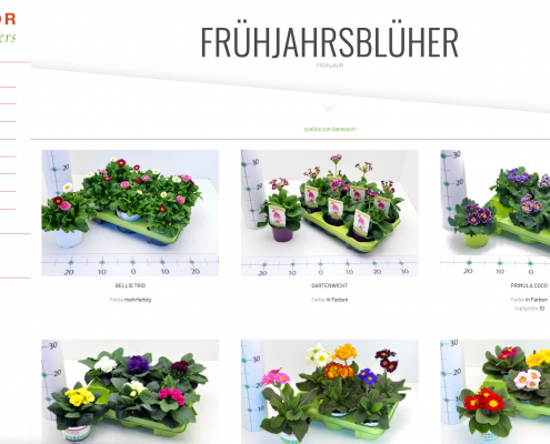 Hethor-Flowers