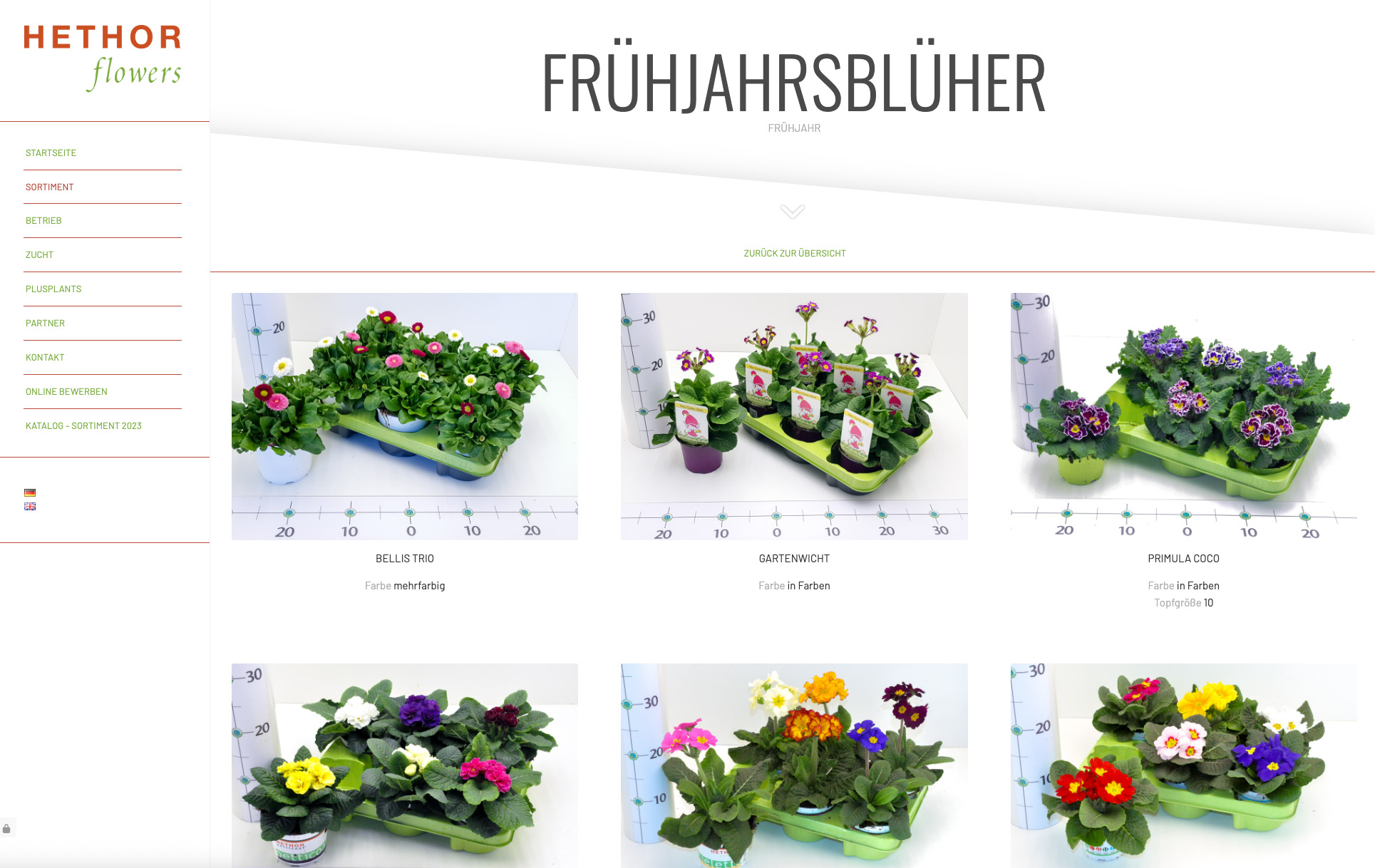 Hethor-Flowers
