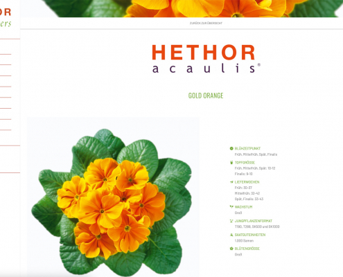 Hethor-Flowers