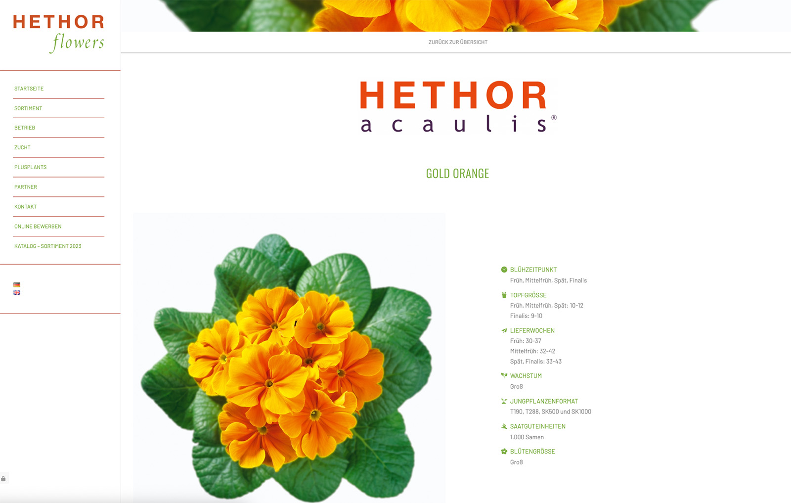 Hethor-Flowers