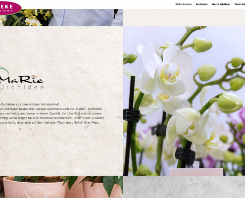 Rieke-Blumen