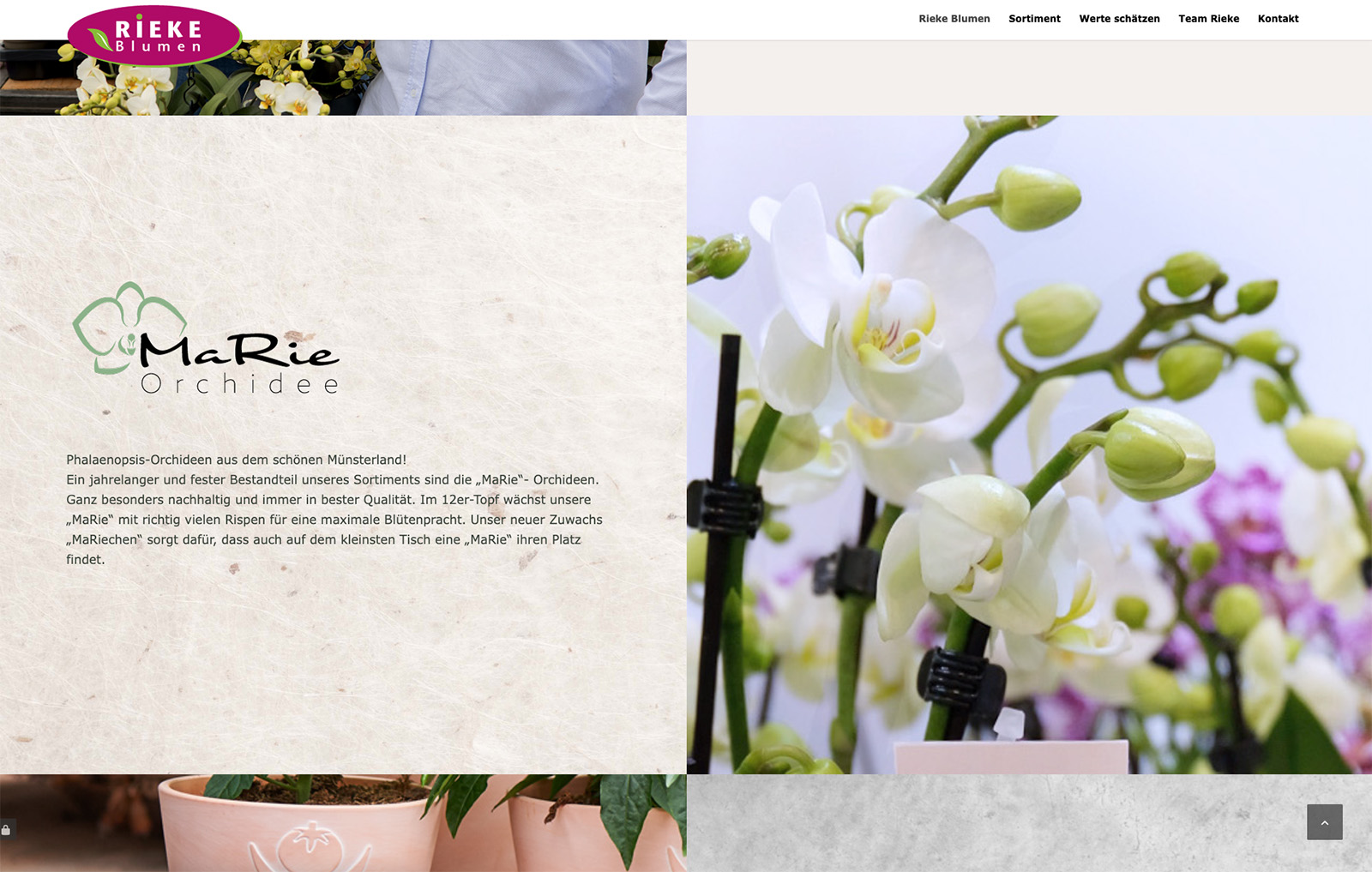 Rieke-Blumen