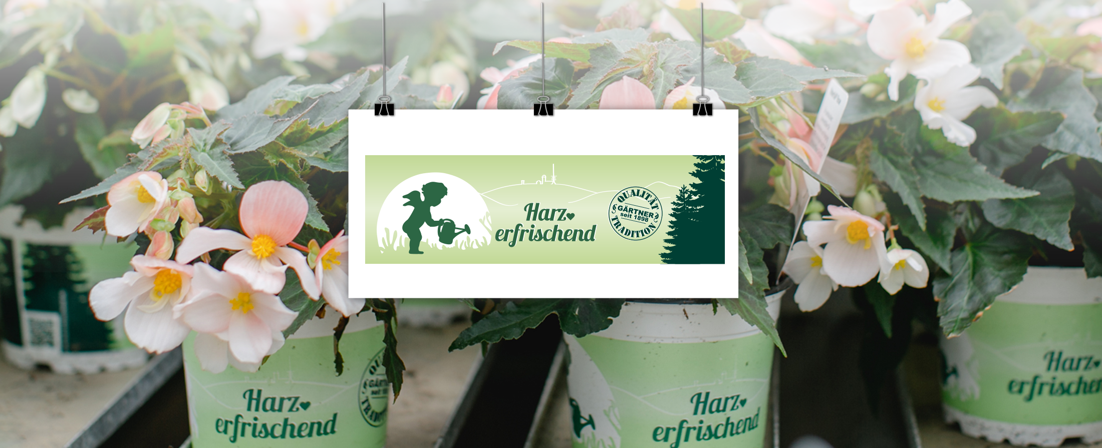 202511_Mockup-Branding_Harzerfrischend