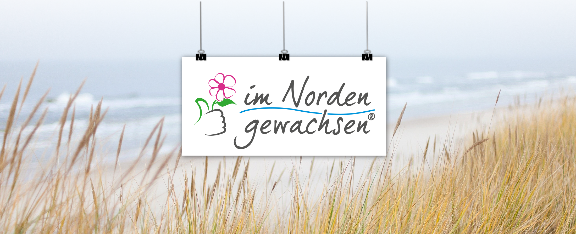 202511_Mockup-Branding_Im-Norden-gewachsen