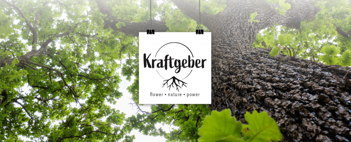 202511_Mockup-Branding_Kraftgeber