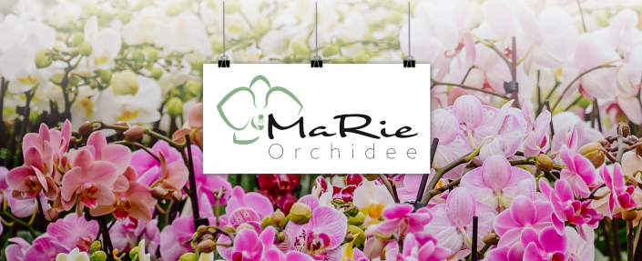 202511_Mockup-Branding_MaRie
