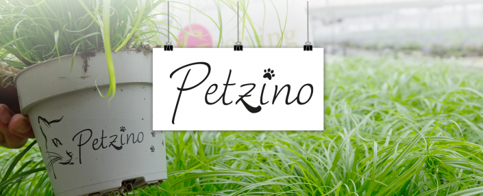 202511_Mockup-Branding_Petzino