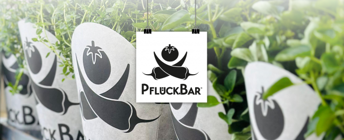202511_Mockup-Branding_Pflueck-Bar