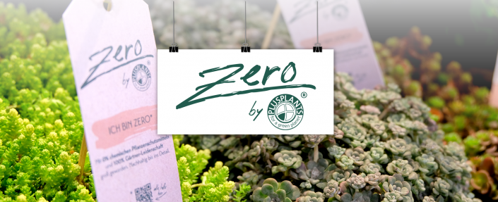 202511_Mockup-Branding_Zero