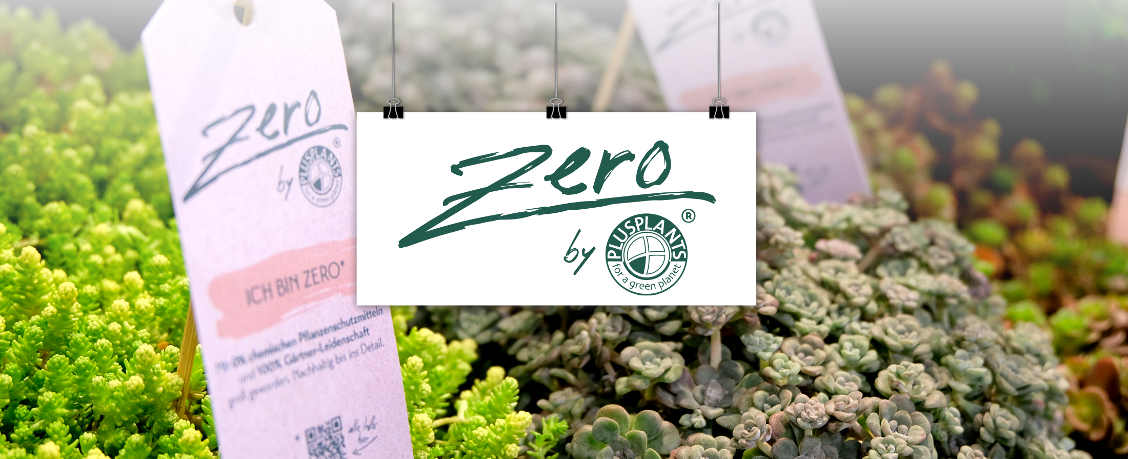 202511_Mockup-Branding_Zero