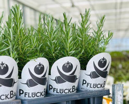 Pflueck-Bar_Gewuerze
