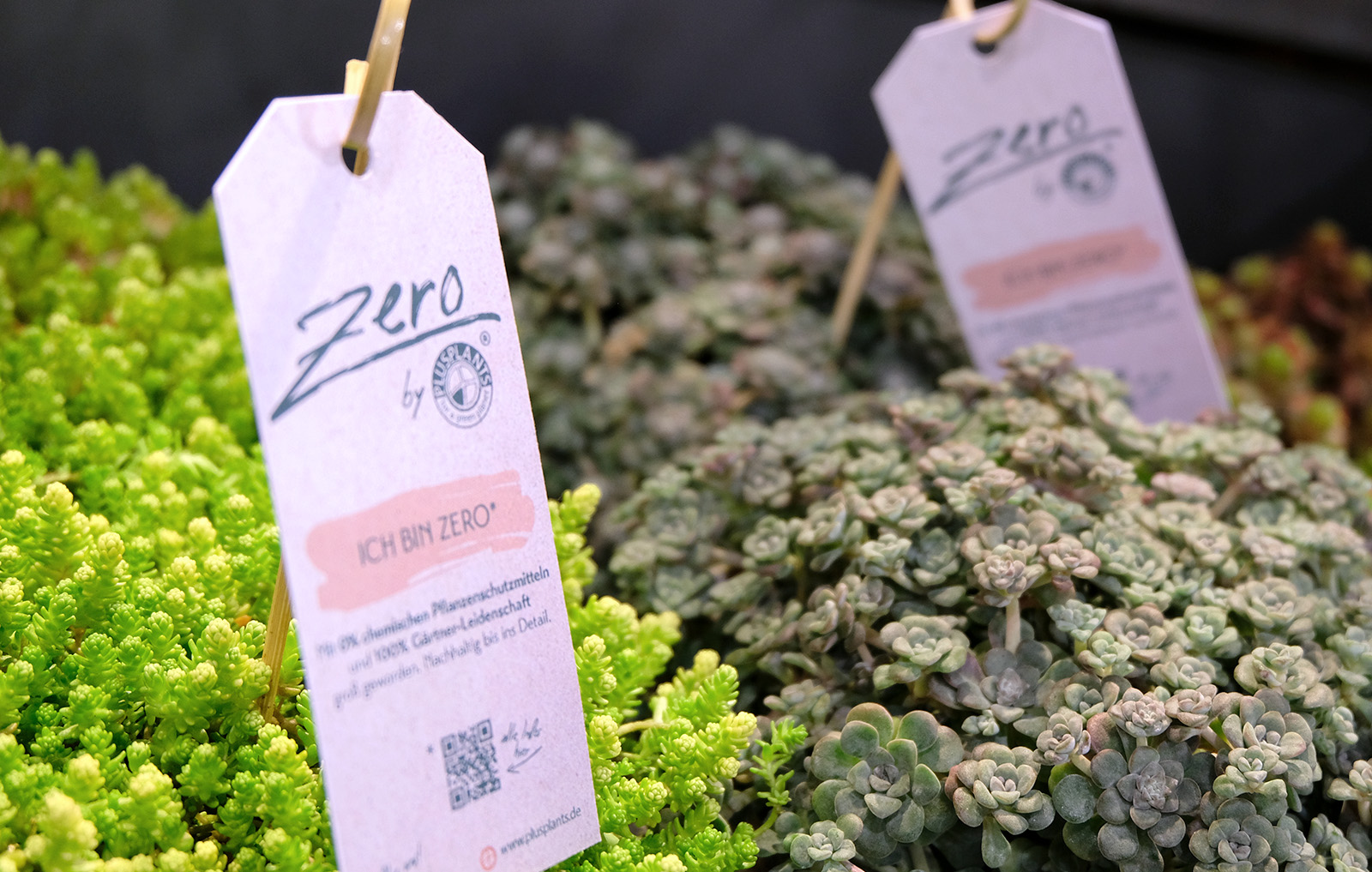 Zero-PlusPlants-Etikett