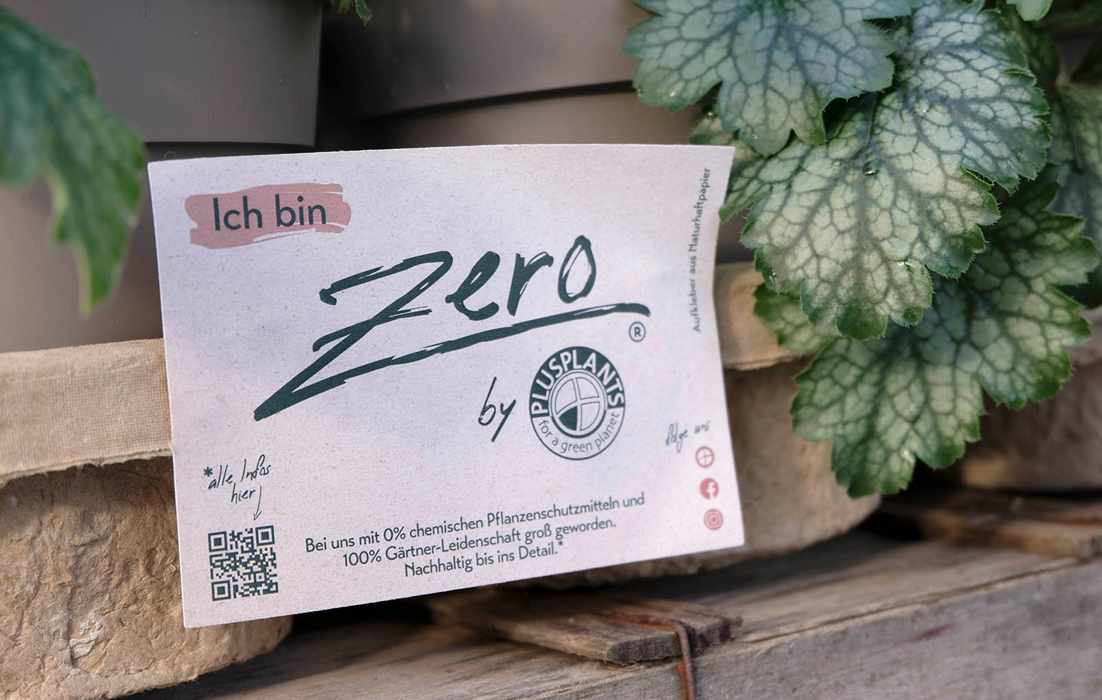 Zero-PlusPlants-Tray-Aufkleber