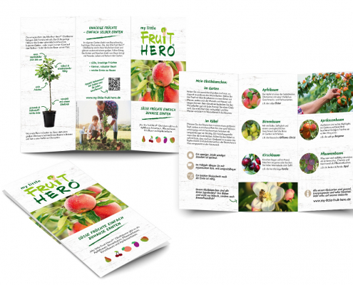 my-little-fruit-hero_Flyer