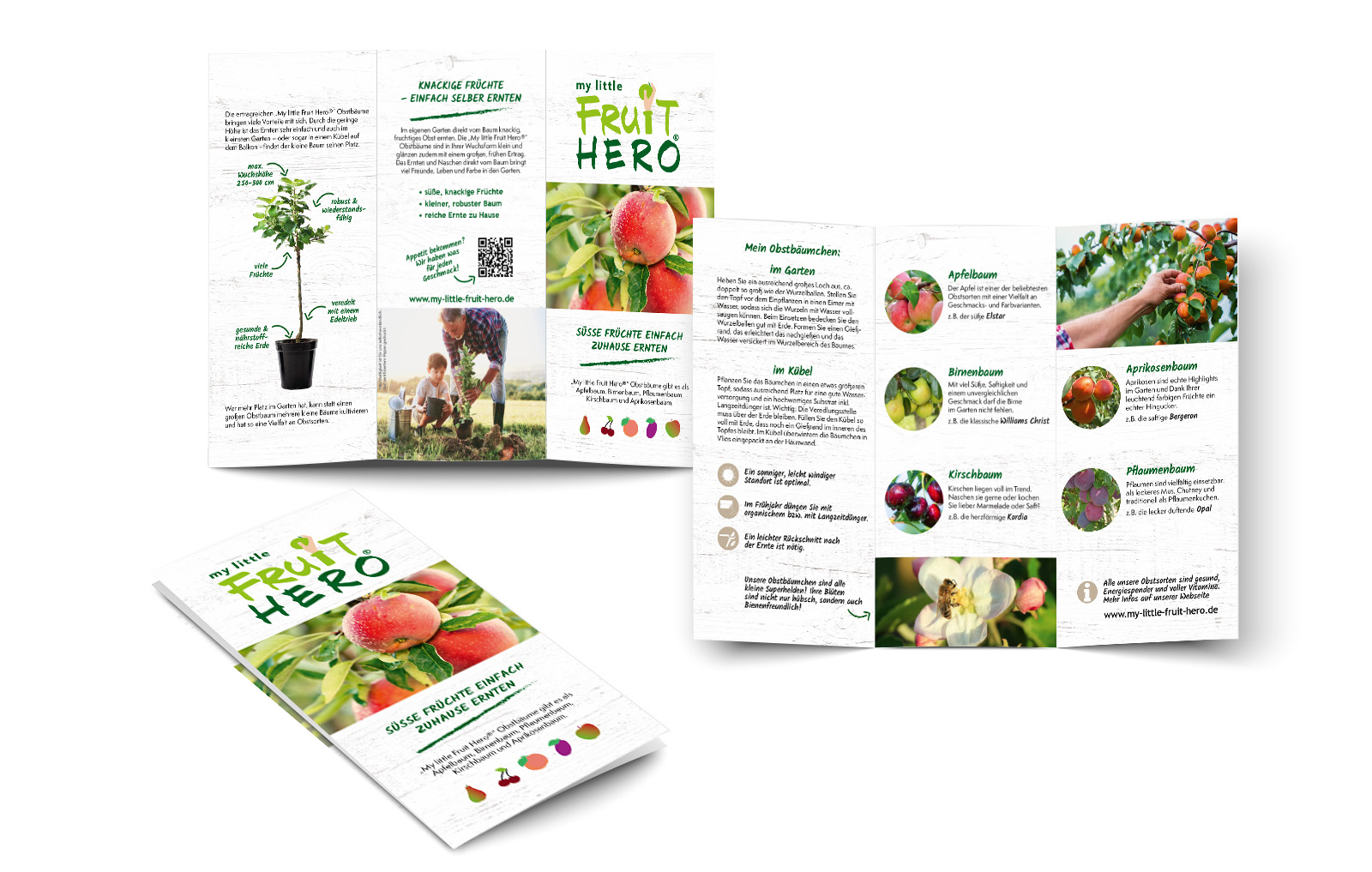 my-little-fruit-hero_Flyer