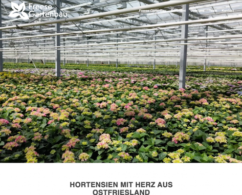 Freese-Gartenbau_1