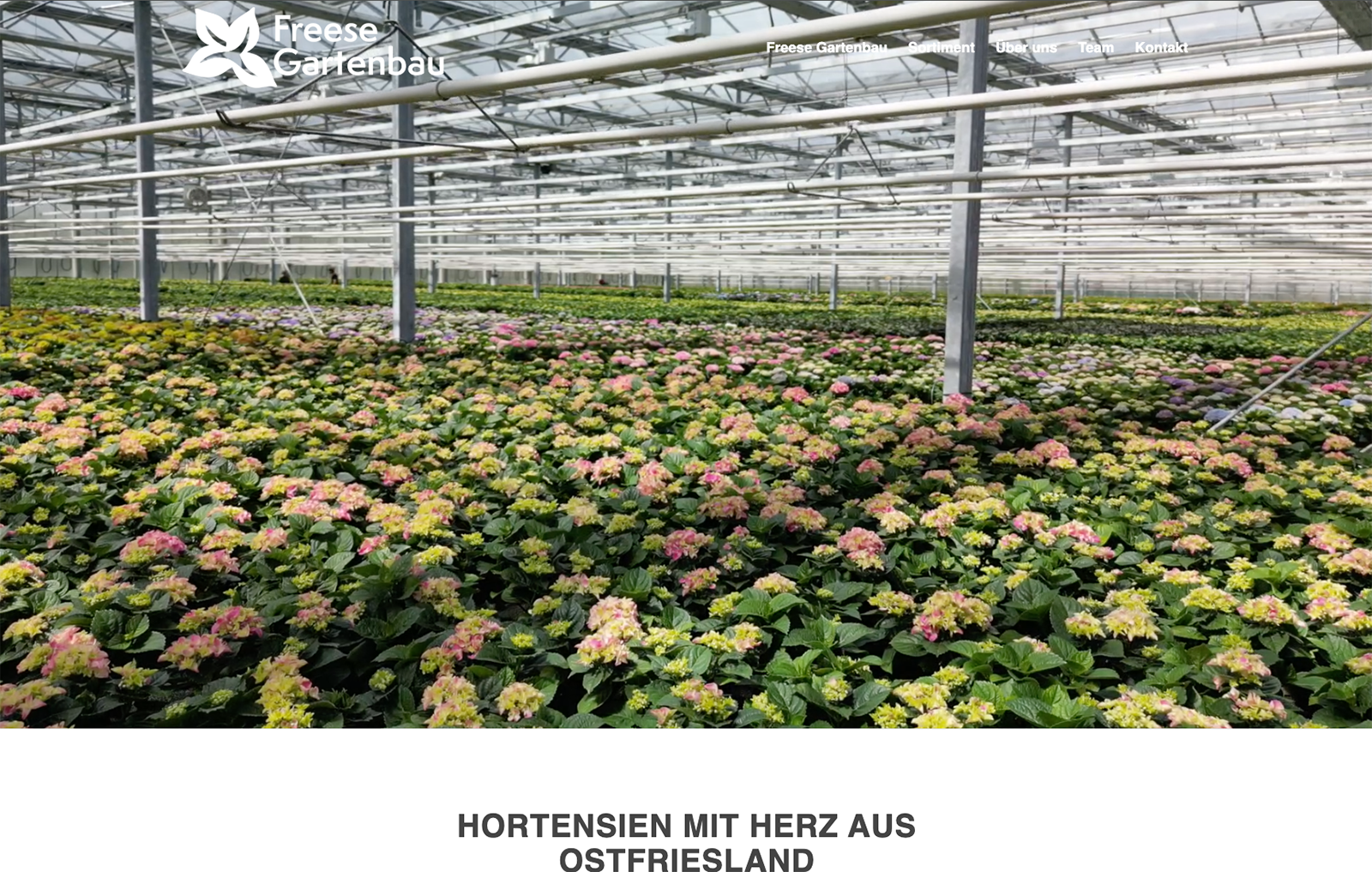 Freese-Gartenbau_1