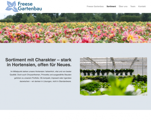 Freese-Gartenbau_2