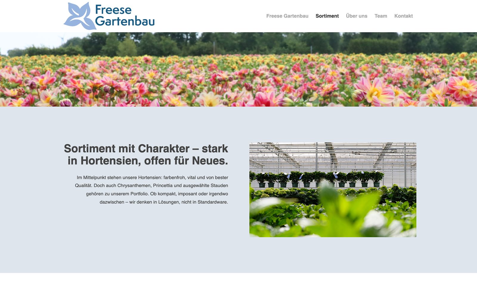 Freese-Gartenbau_2