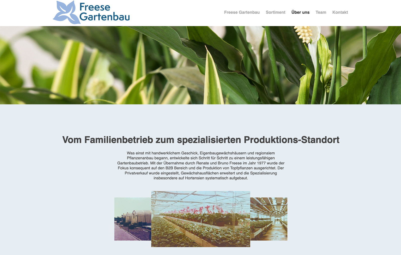 Freese-Gartenbau_3