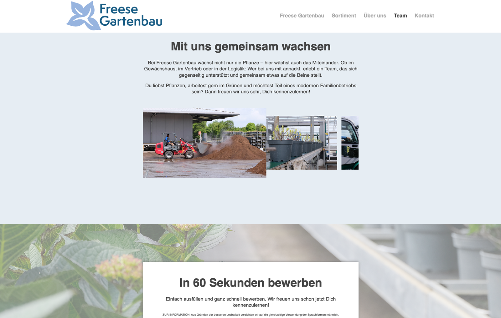 Freese-Gartenbau_4
