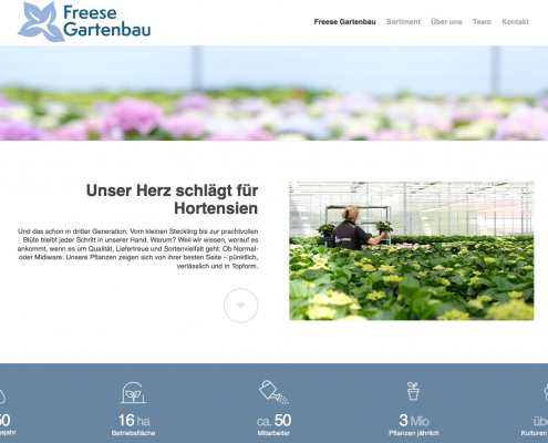 Freese-Gartenbau_5