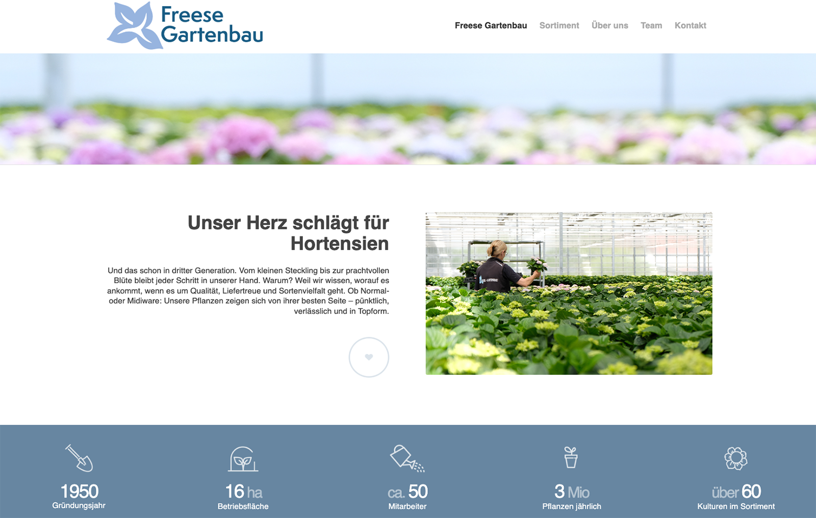 Freese-Gartenbau_5