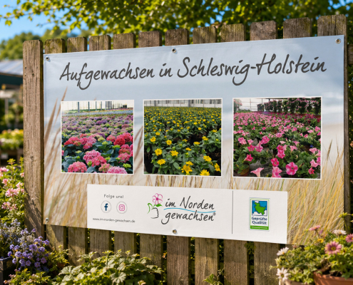 Im-Norden-Gewachsen_Banner