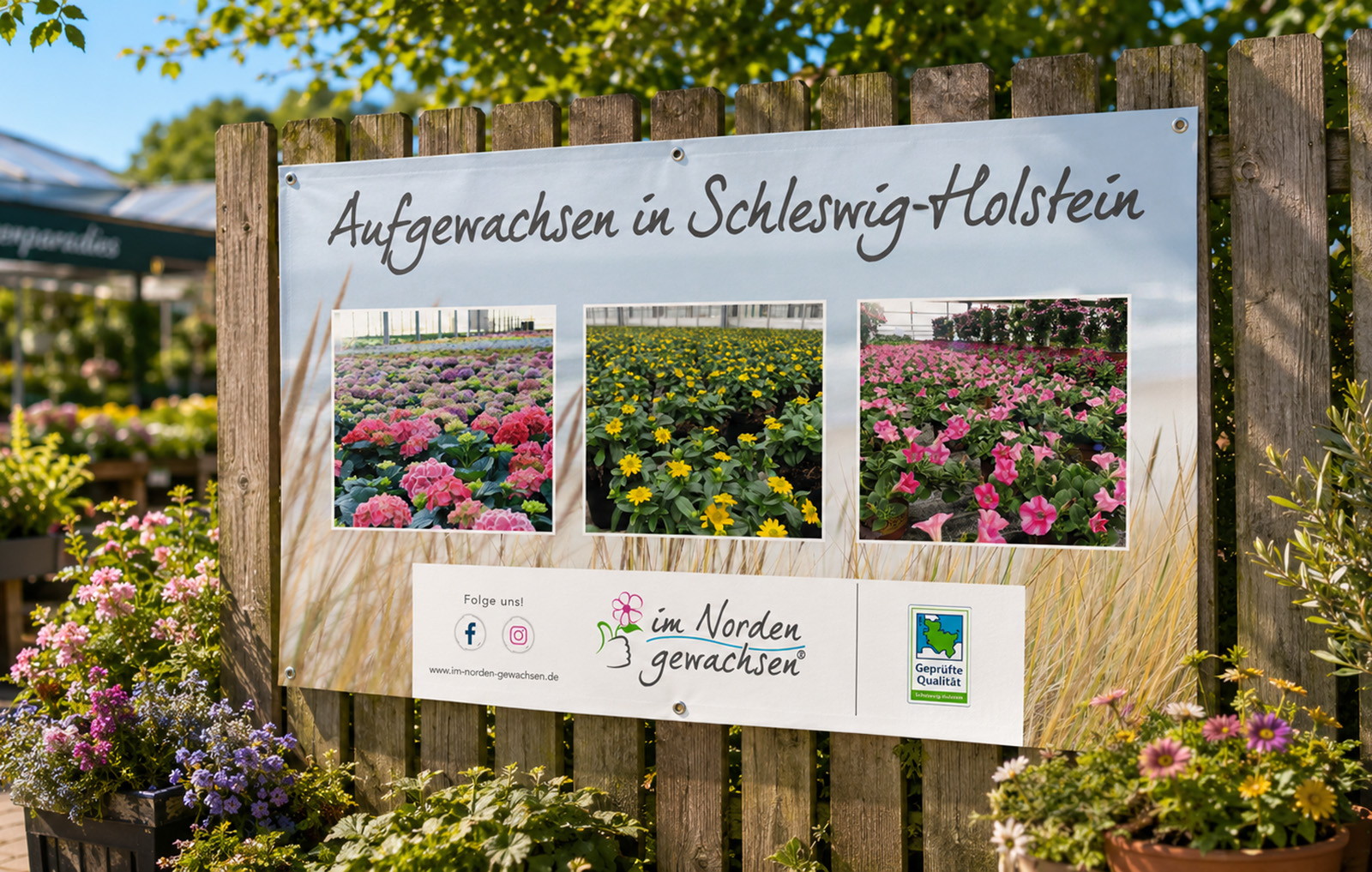 Im-Norden-Gewachsen_Banner